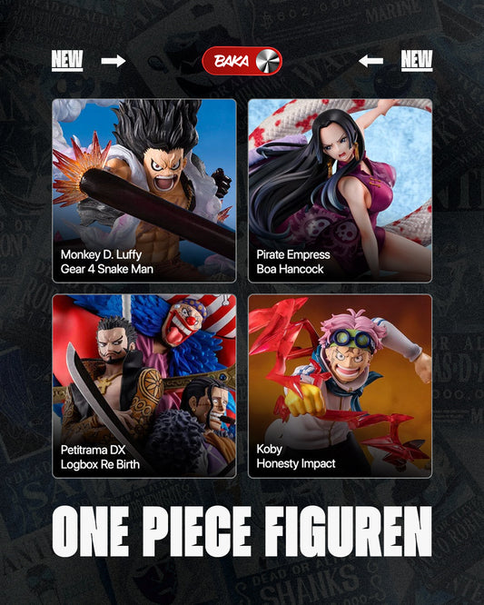 One Piece Nachschub im Baka Store ⚓🏴‍☠️