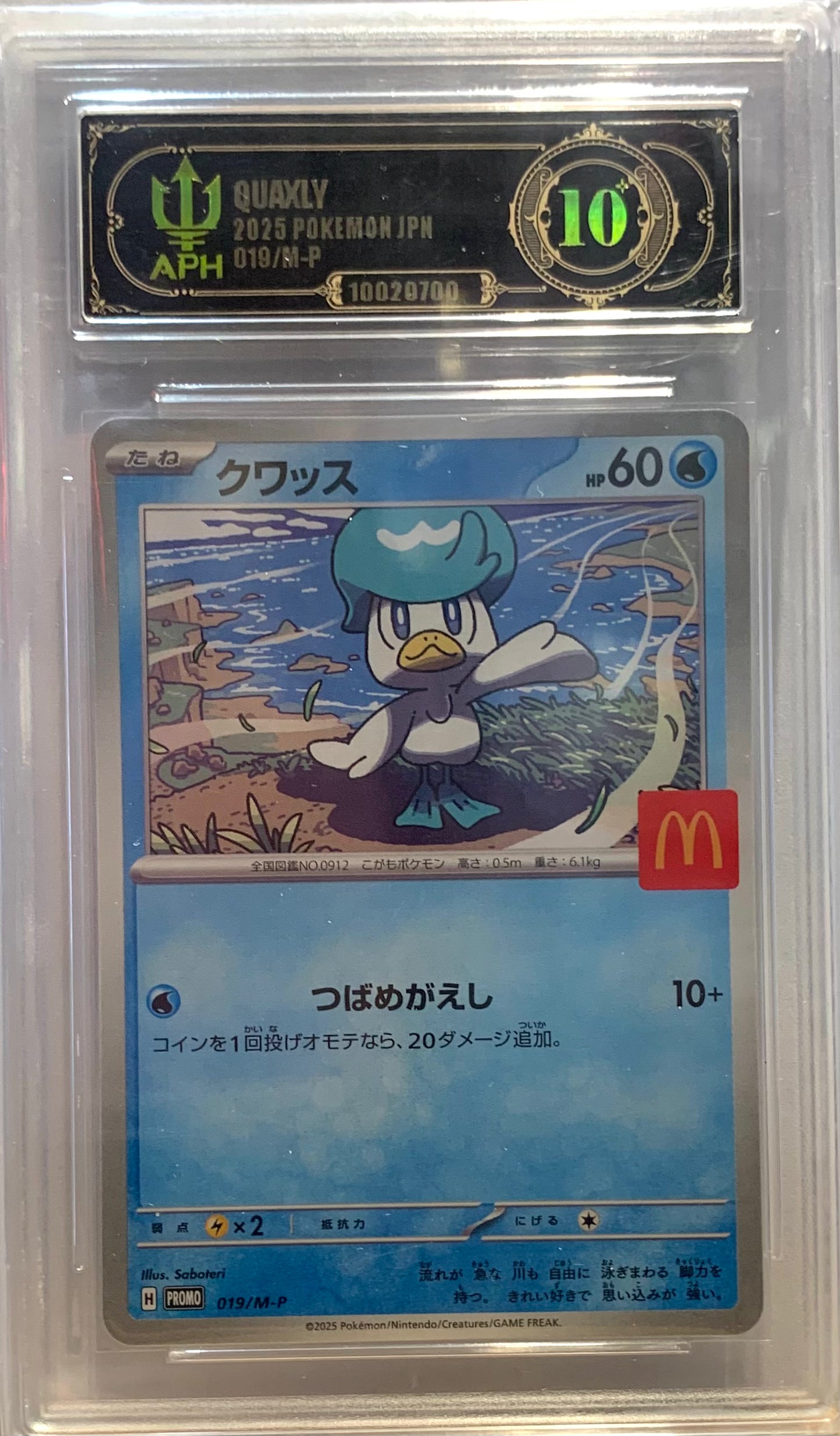 Graded Card: Quaxly #019 (2025) - APH 10 - JPN