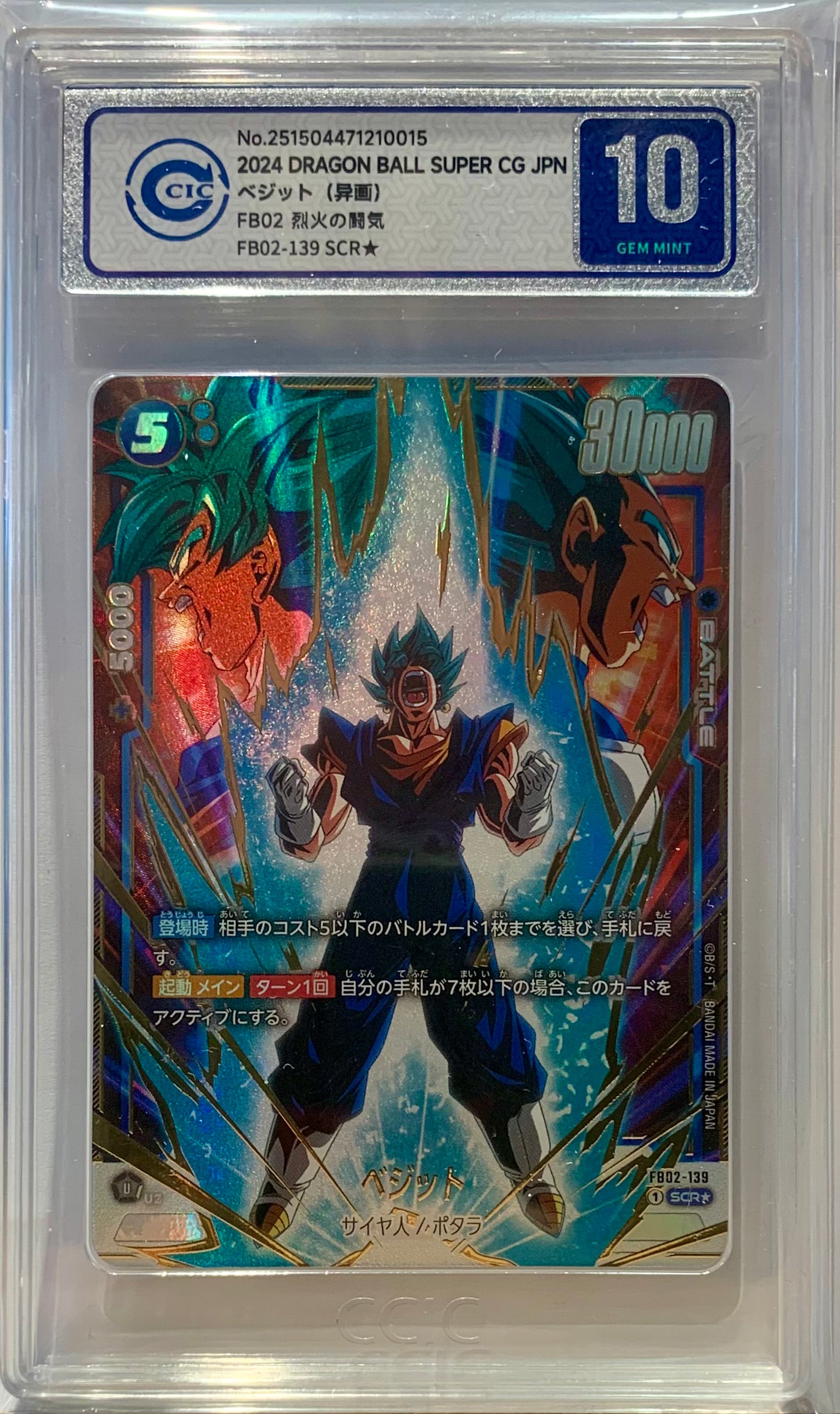 Vegito - CCIC 10