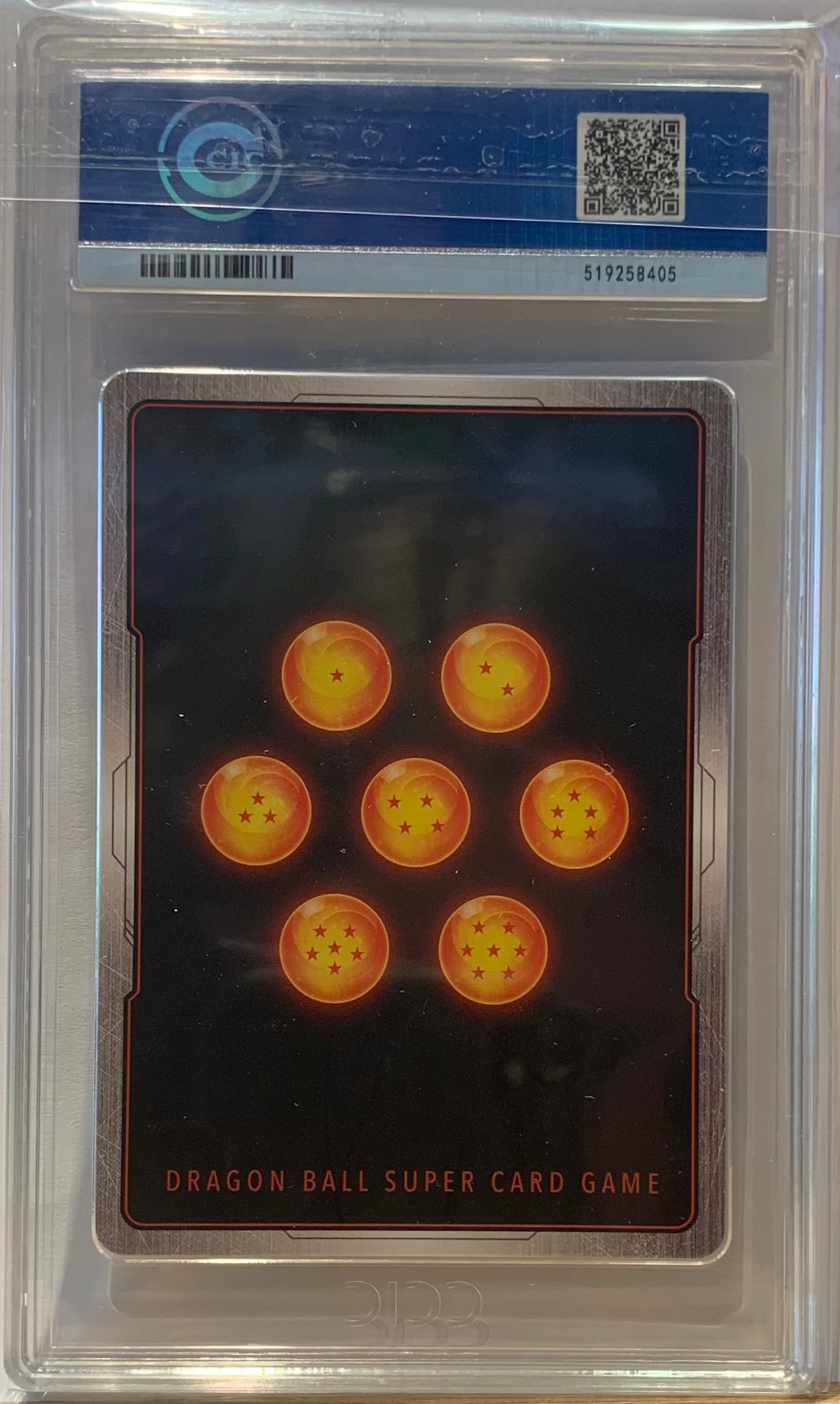 Vegito - CCIC 10