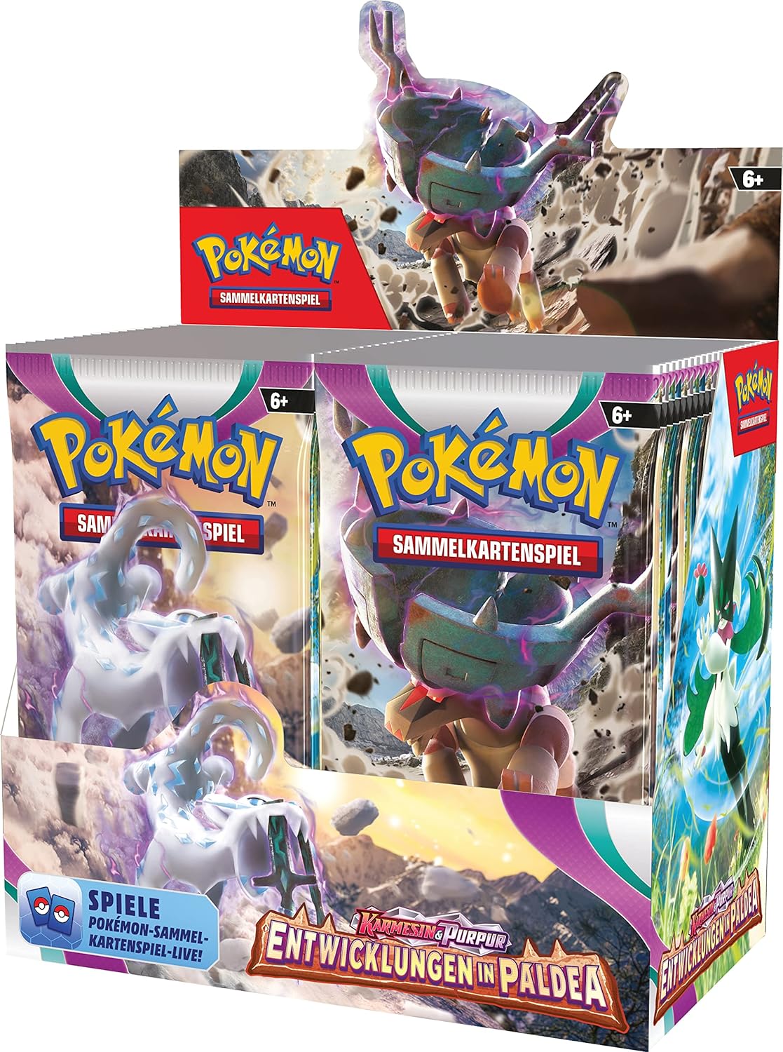 Pokémon: Entwicklung in Paldea - Display - DE