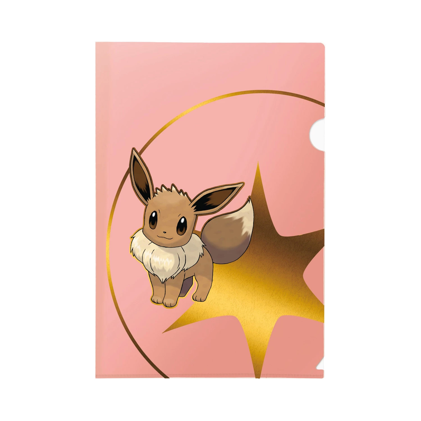 Pokémon: Tournament Folio 3-Pack (Eeve, Psyduck, Dragonite)