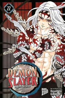 Demon Slayer - Band 22