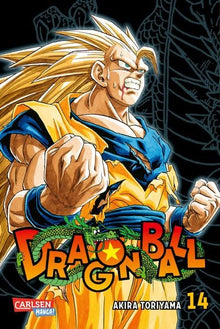 Dragon Ball Massiv - Band 14