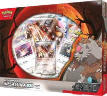 Pokémon: Blutmond-Ursaluna ex - Box - EN