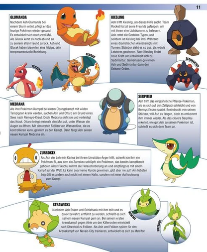 Pokémon: Handbuch - Das große Lexikon